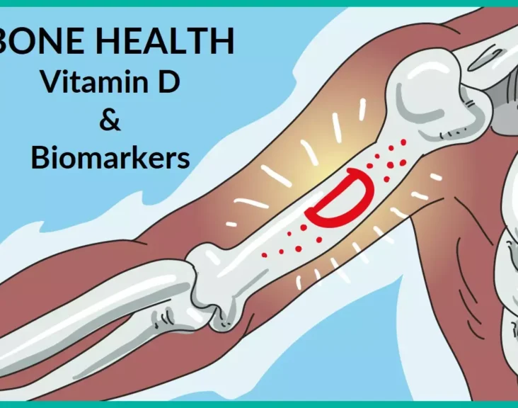 Illuminating Bone Health