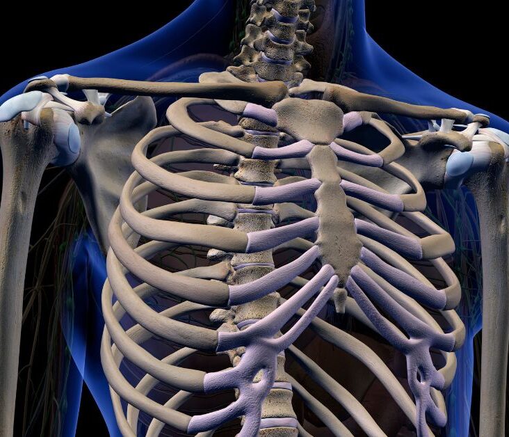 A Blueprint for Strong and Resilient Skeletal Health