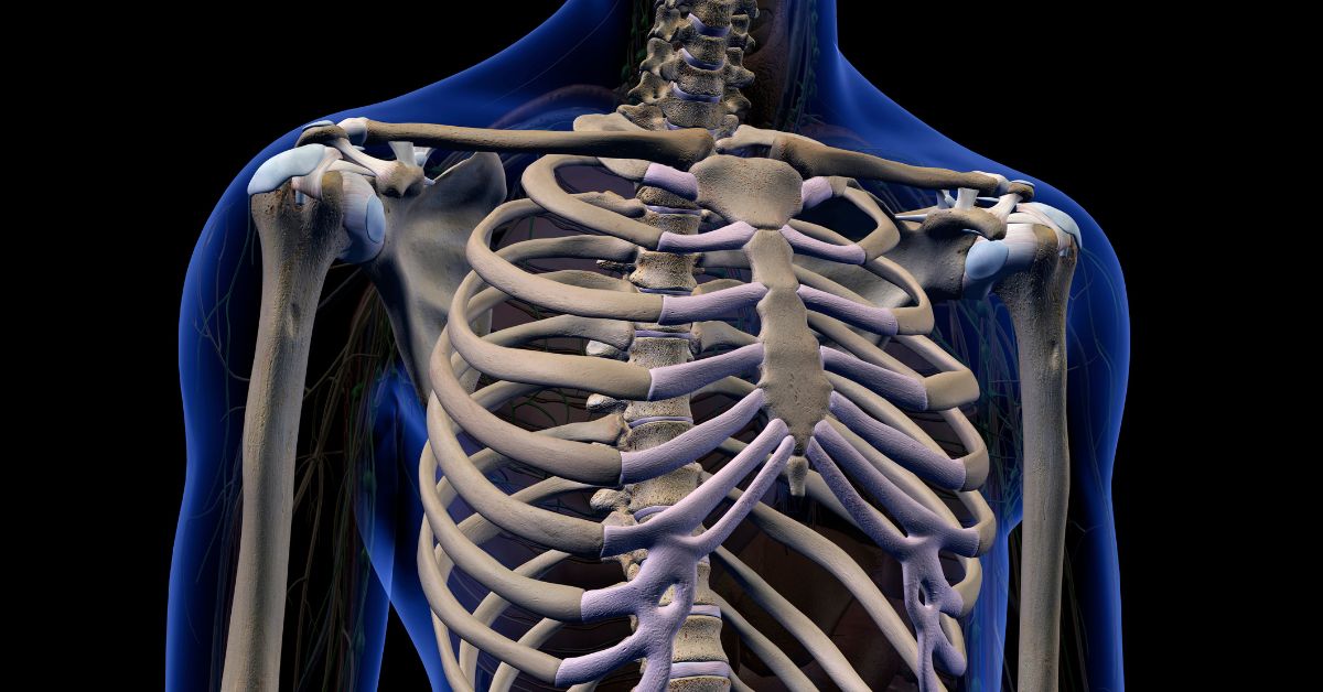 A Blueprint for Strong and Resilient Skeletal Health
