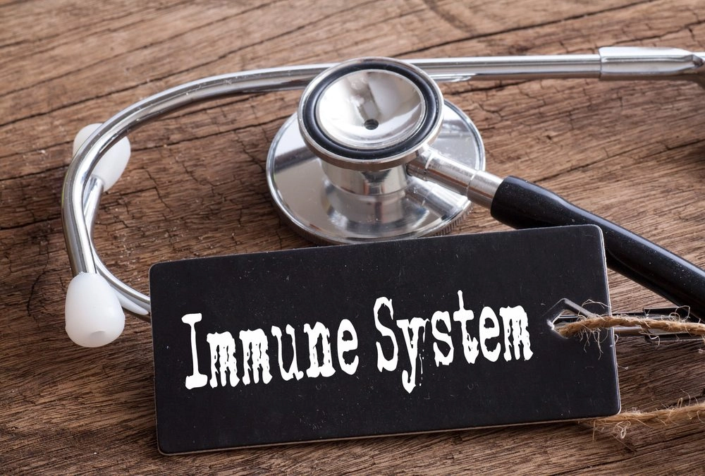 Building Immunity Through Nutrition: Key Strategies for a Stronger Immune System