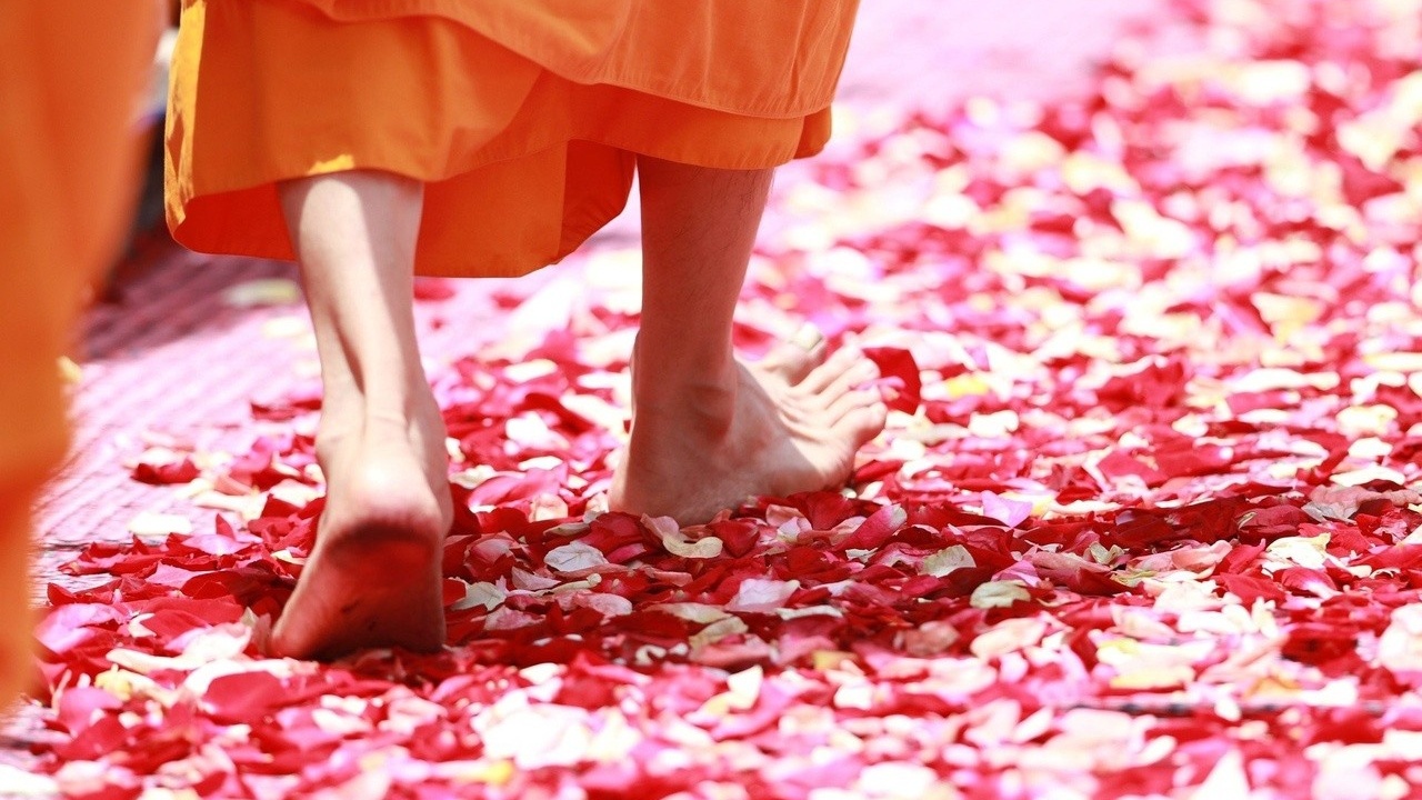 The Practice of Walking Meditation